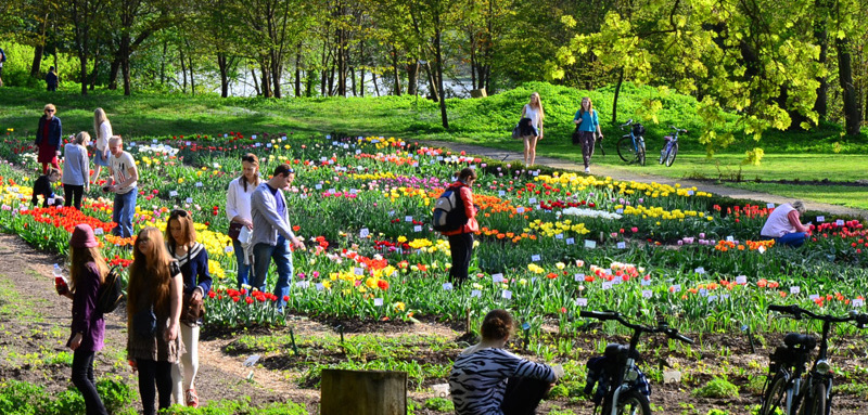 Naturbeobachtungstouren